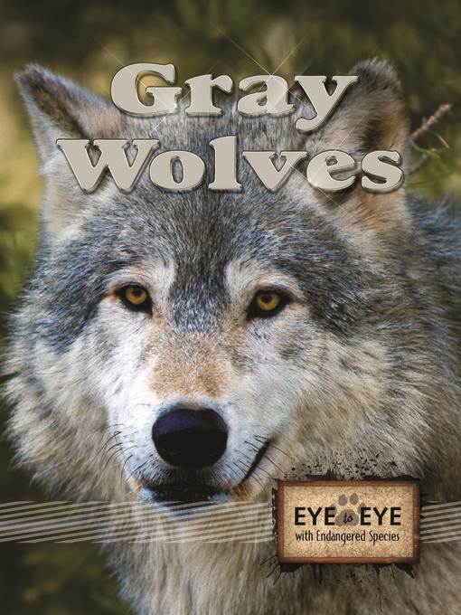 Gray Wolves