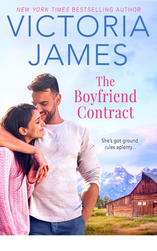 The Boyfriend Contract