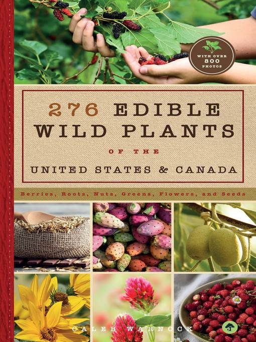 276 Edible Wild Plants of the United States and Canada