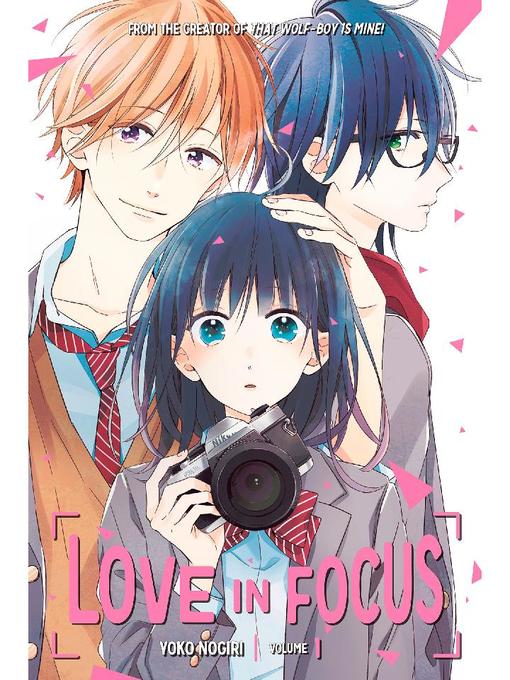 Love in Focus, Volume 1