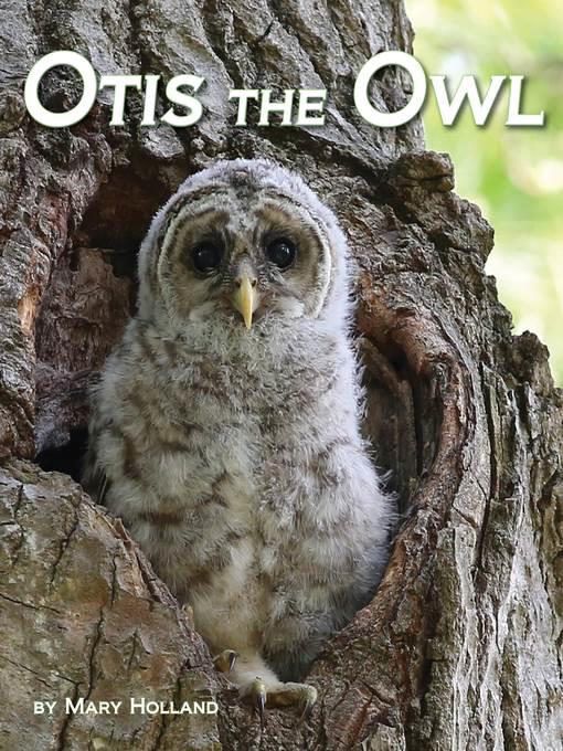 Otis the Owl