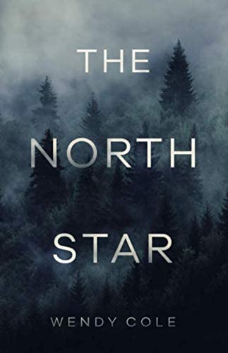 The North Star: A New Adult Romance