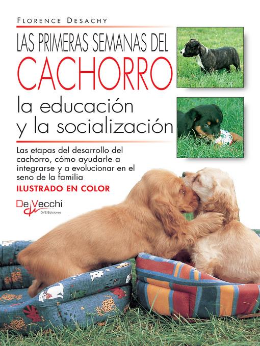 Las primeras semanas del cachorro