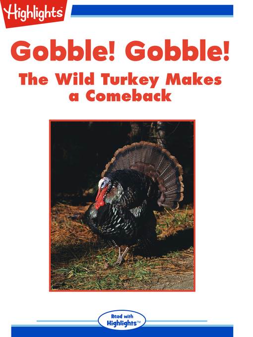 Gobble! Gobble! The Wild Turkey Make a Comeback