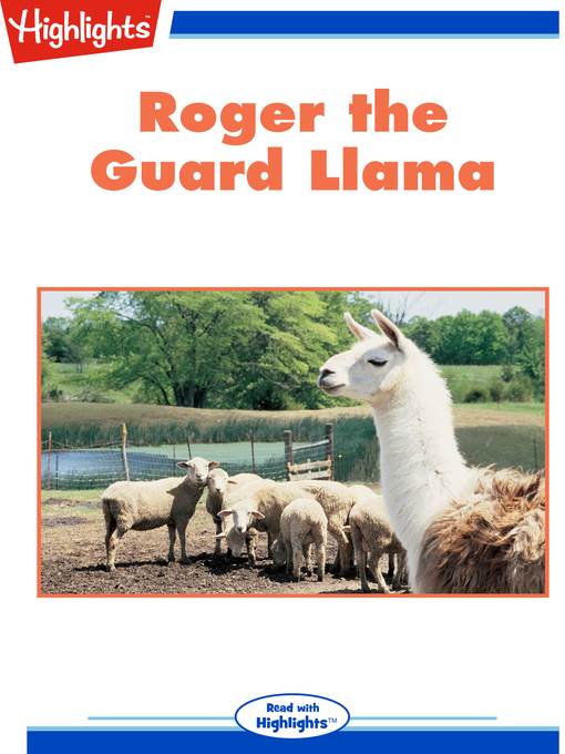 Roger the Guard Llama