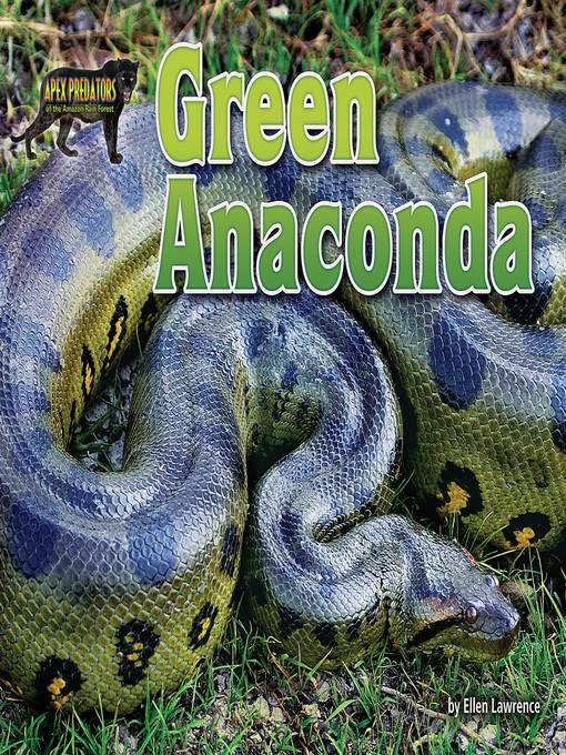 Green Anaconda