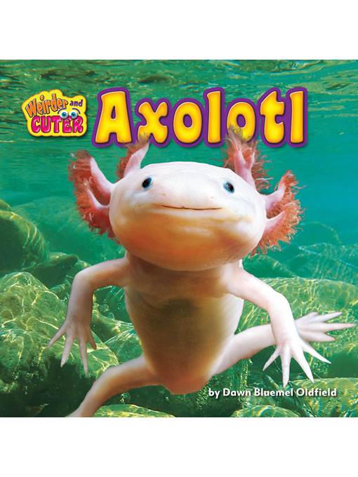 Axolotl