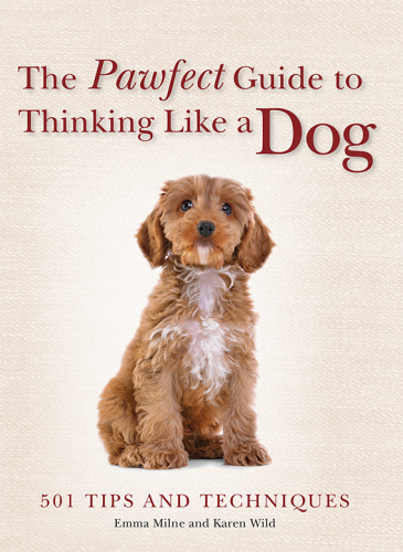 The Pawfect Guide to Thinking Like a Dog
