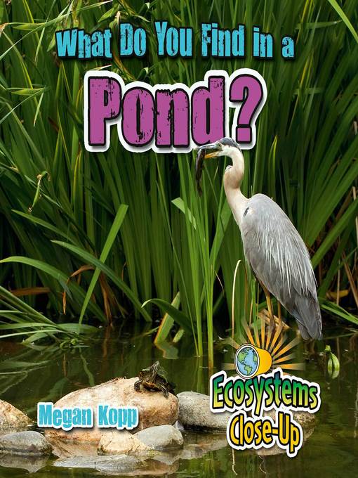 What Do You Find in a Pond?