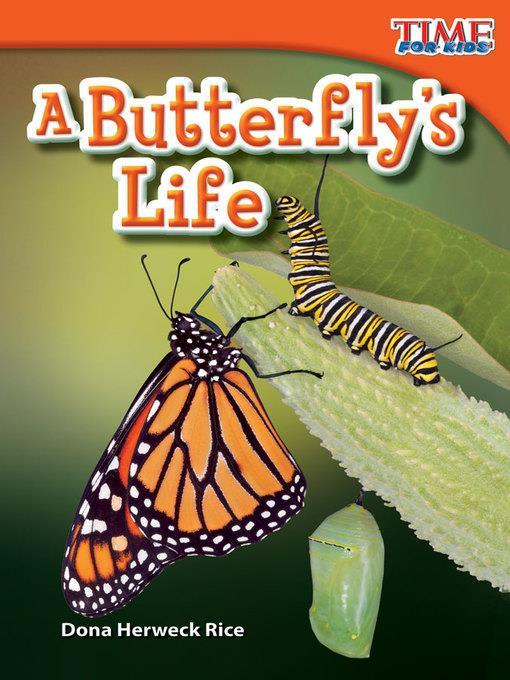 A Butterfly's Life