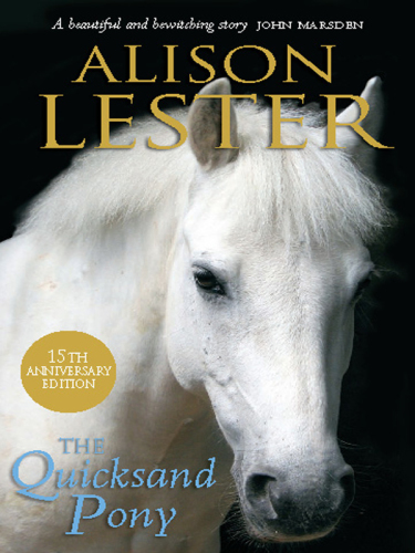 The Quicksand Pony