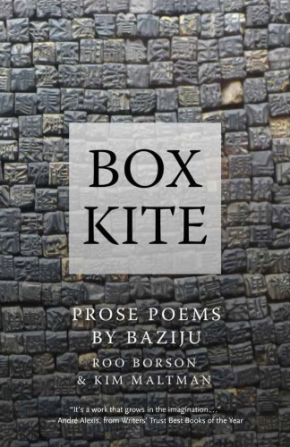 Box kite : prose poems