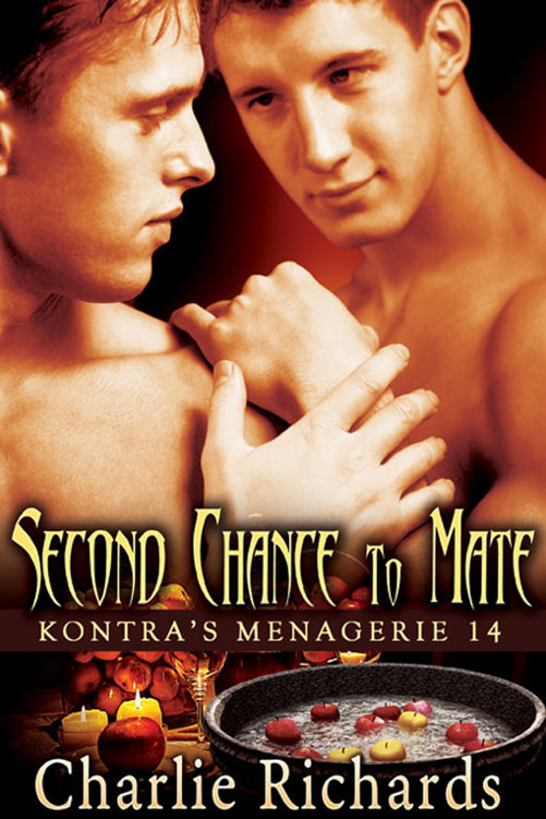 Second Chance to Mate