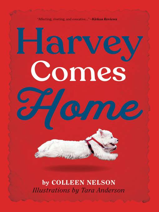 Harvey Comes Home