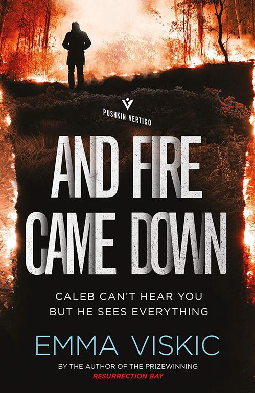 And Fire Came Down: Caleb Zelic Series: Volume Two (Pushkin Vertigo)