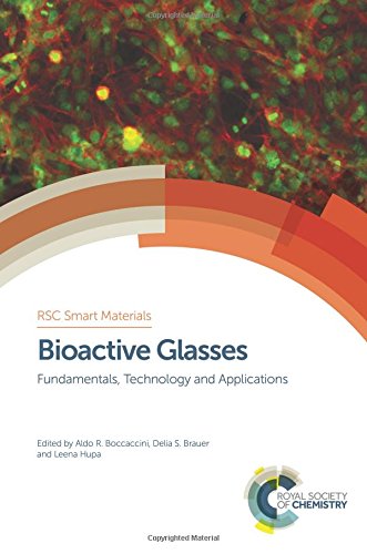 Bioactive glasses : fundamentals, technology and applications