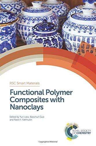 Functional polymer composites with nanoclays