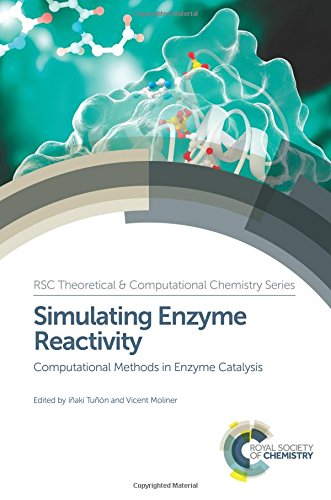 Simulating enzyme reactivity