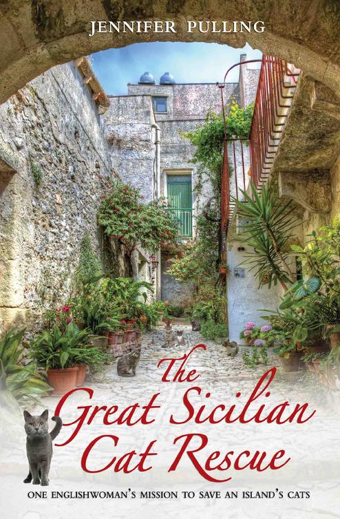 The Great Sicilian Cat Rescue: One Englishwoman's Mission to Save An Island's Cats