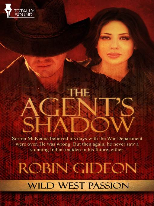 The Agent's Shadow