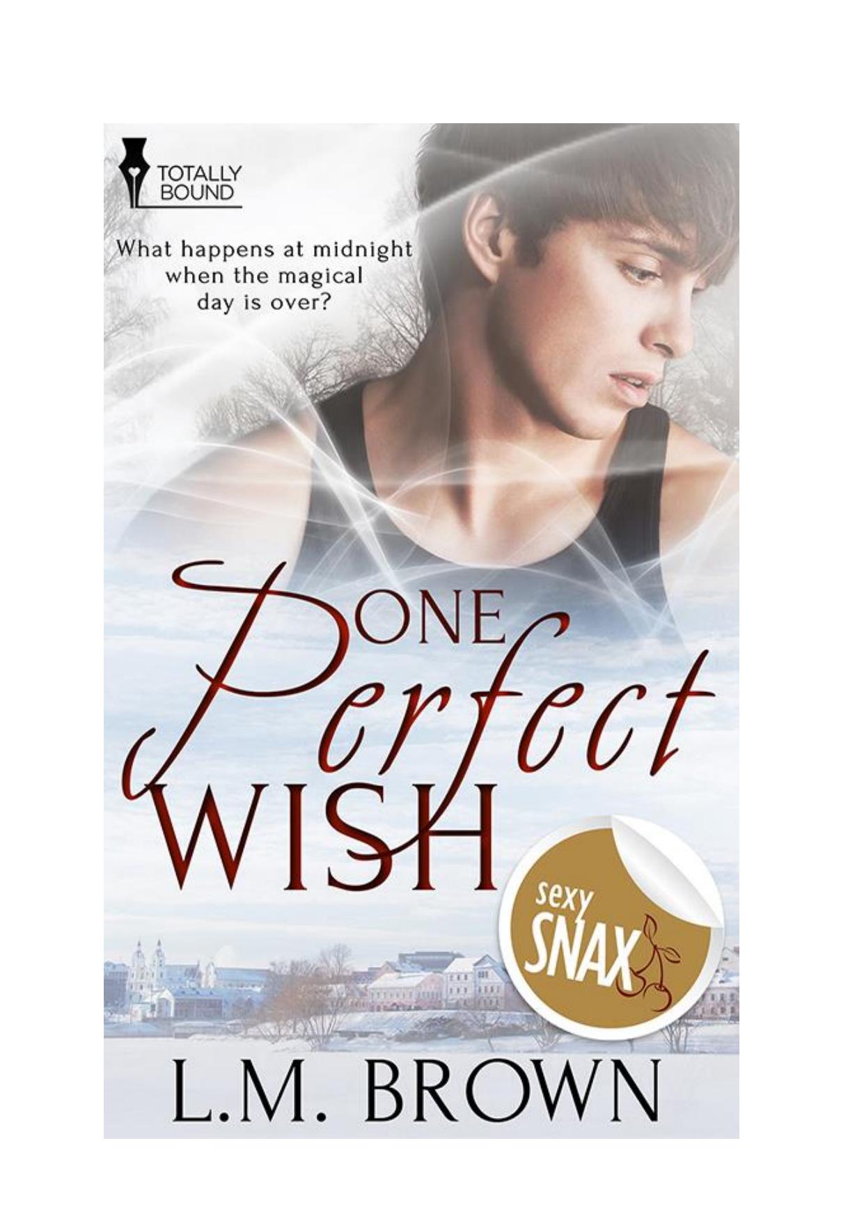 One Perfect Wish