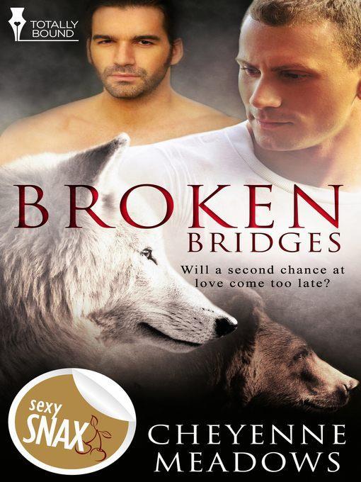 Broken Bridges