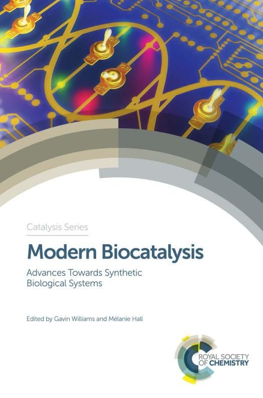 Modern biocatalysis : advances towards complex synthetic biological systems