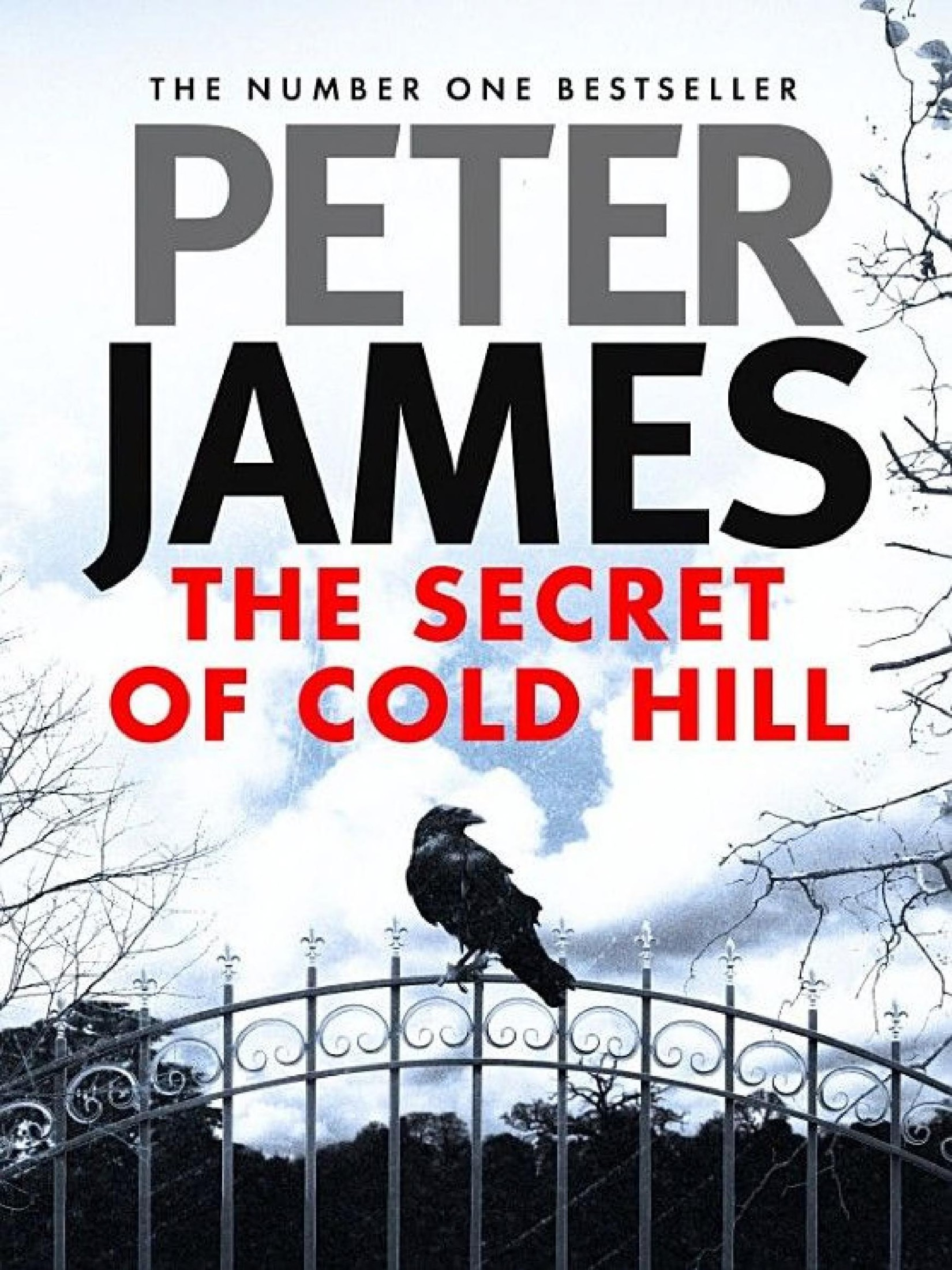 The Secret of Cold Hill