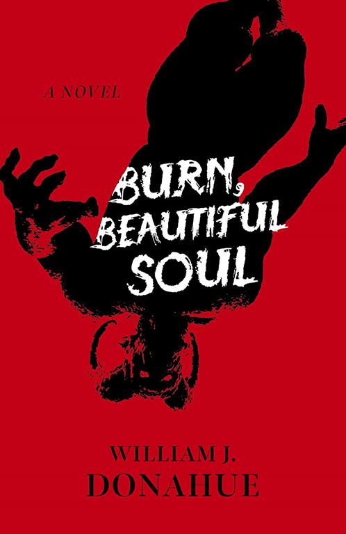 Burn, Beautiful Soul: A Novel