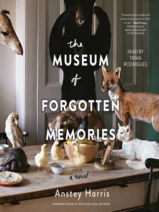 The Museum of Forgotten Memories