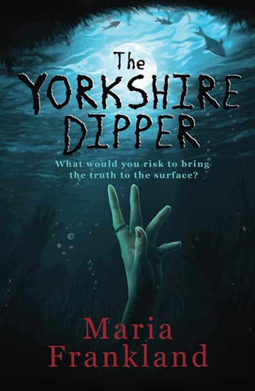 The Yorkshire Dipper: A Yorkshire crime novel which will keep you hooked