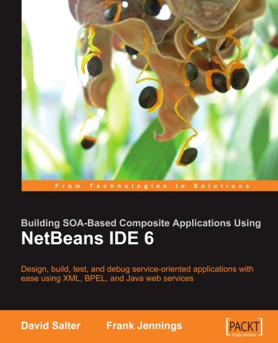 Netbeans Enterprise Pack