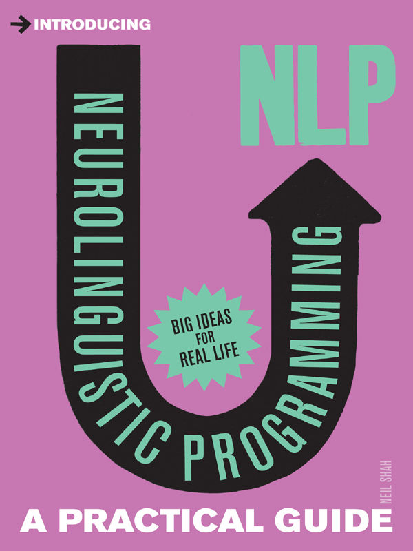 A Practical Guide to NLP