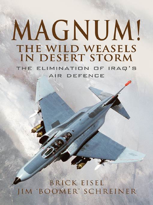 Magnum! the Wild Weasels in Desert Storm