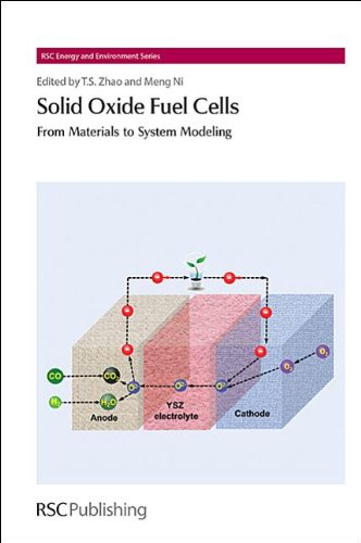 Solid Oxide Fuel Cells