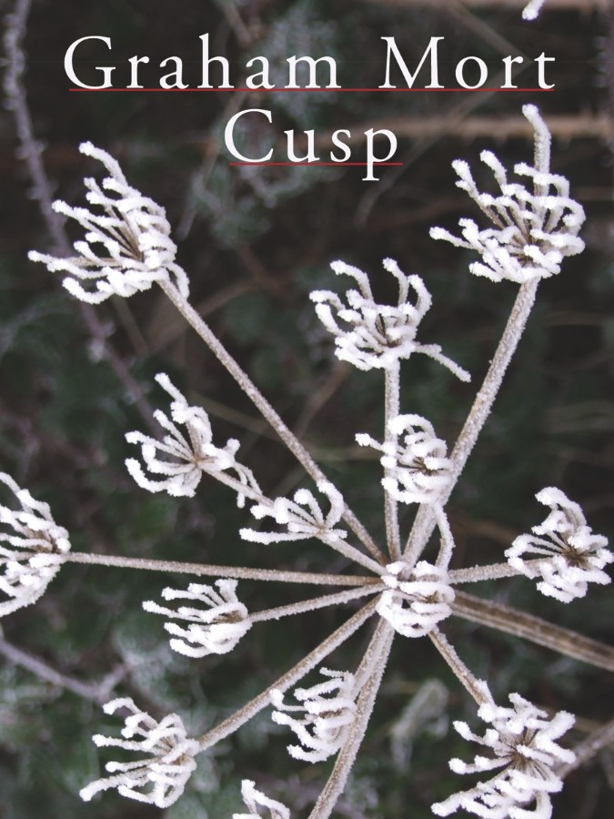 Cusp