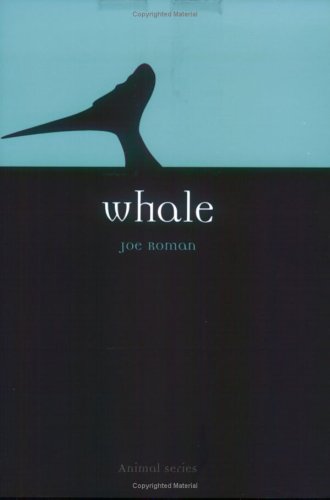 Whale