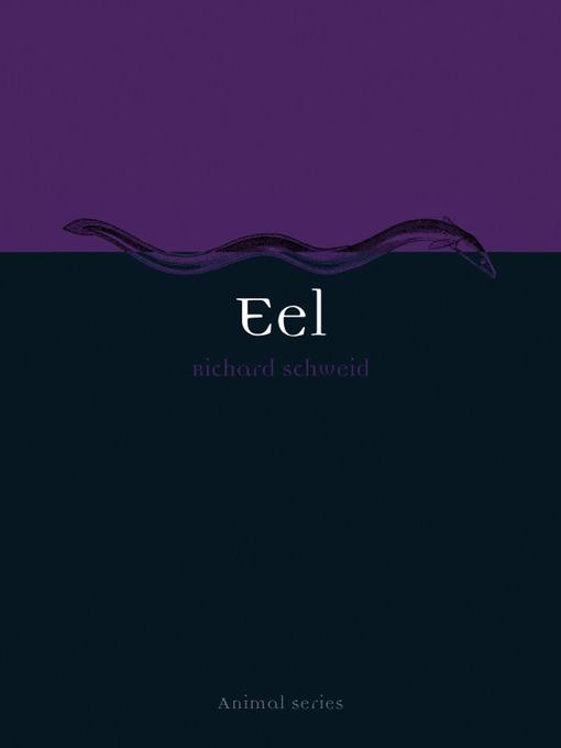 Eel