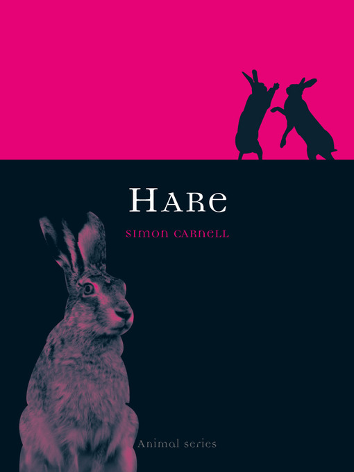 Hare