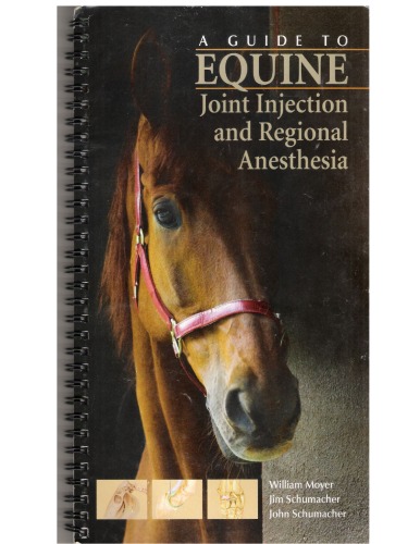 A Guide To Equine Joint Injection And Regional Anesthesia