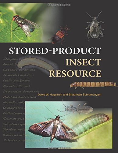 Stored-Product Insect Resource