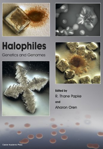 Halophiles