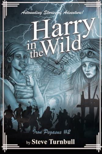 Harry in the Wild: Astounding Stories of Adventure (Iron Pegasus) (Volume 2)