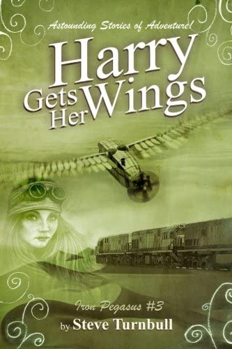 Harry Gets Her Wings: Astounding Stories of Adventure (Iron Pegasus) (Volume 3)