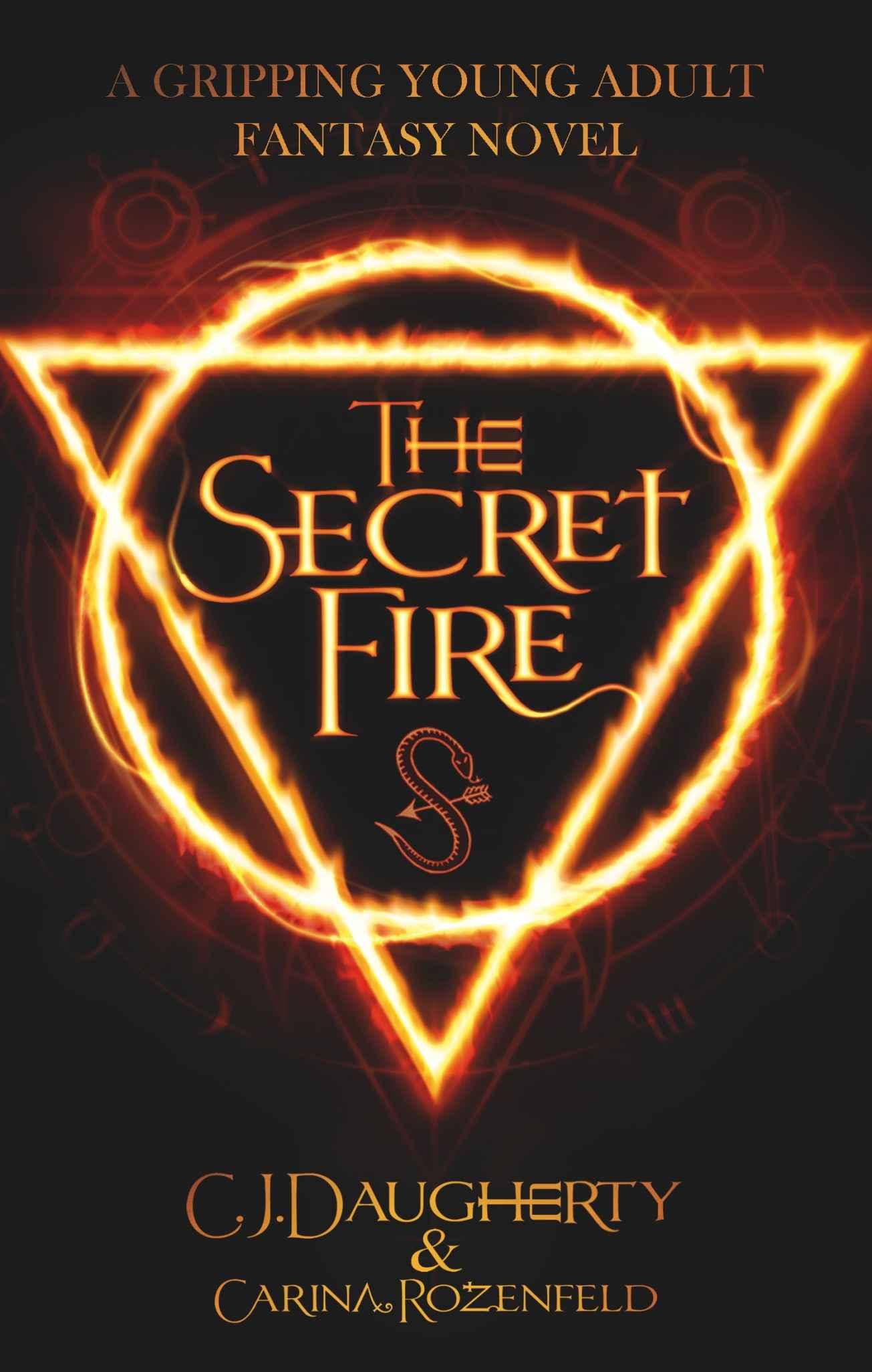 The Secret Fire