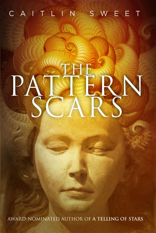 Pattern Scars
