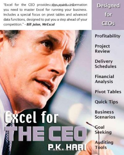 Excel for the CEO