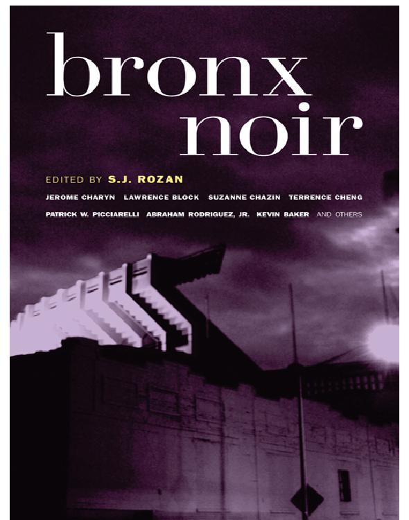 Bronx Noir