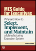 Mes Guide for Executives