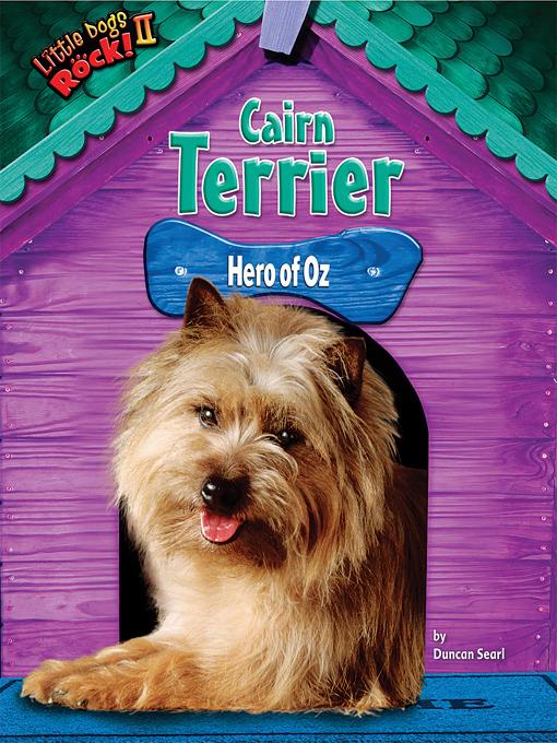 Cairn Terrier